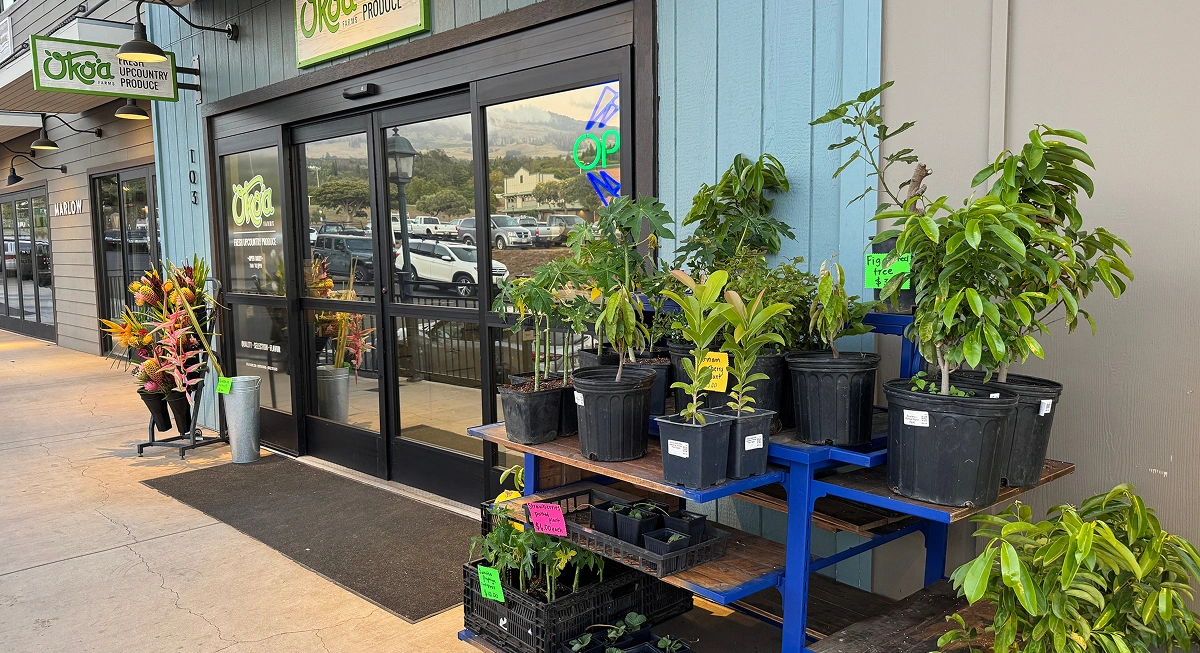 'Oko'a Farms photo 5